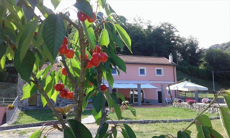 B&B La Casina Rosa La Spezia Valeriano Lunense Eksteriør bilde