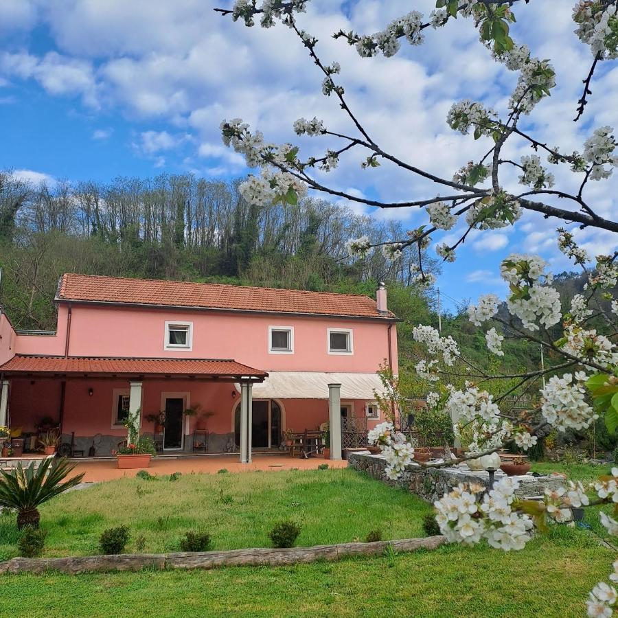 B&B La Casina Rosa La Spezia Valeriano Lunense Eksteriør bilde